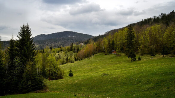 turizam-seoski-letovanje-vauceri-srbija-godisnji-aktivan-odmor-planinarenje-pixabay