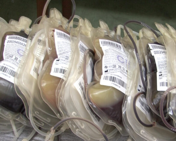 KRV_ZALIHE_201229_92314