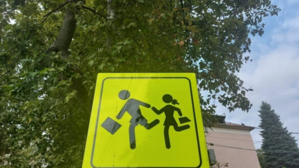 pesacki skola