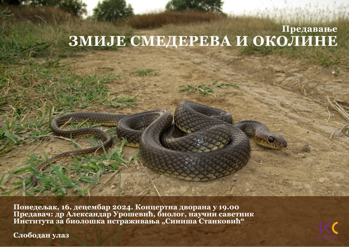 Zmije Smedereva